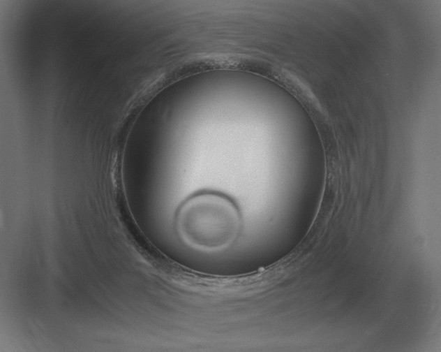 X0000083000023200702160101