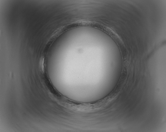 X0000083000024200702160101