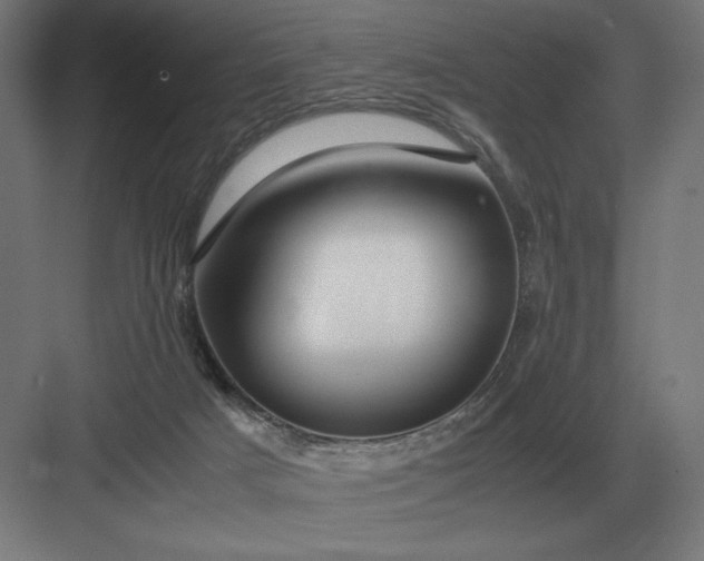 X0000083000025200702160101