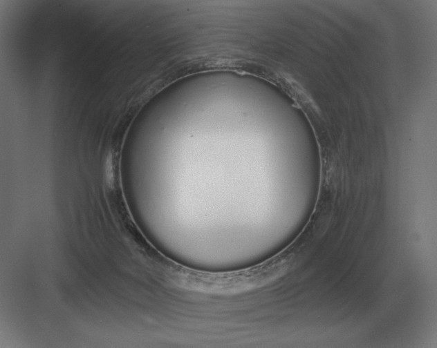 X0000083000026200702160101