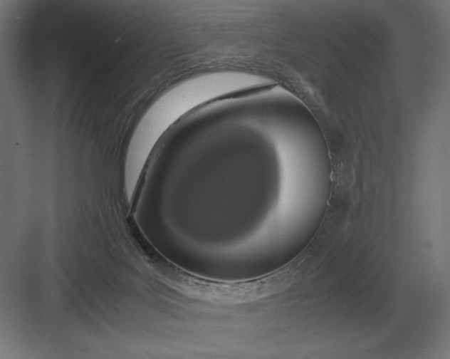 X0000083000027200702160101