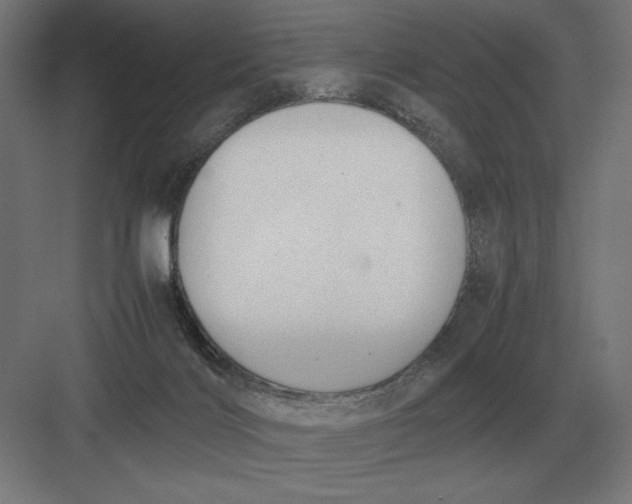 X0000083000028200702160101