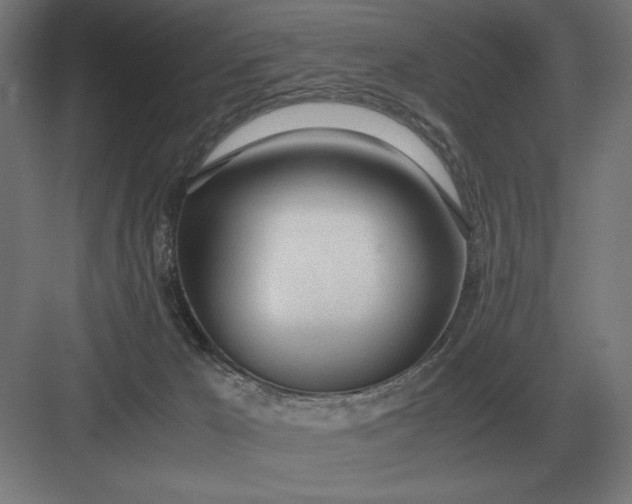 X0000083000029200702160101