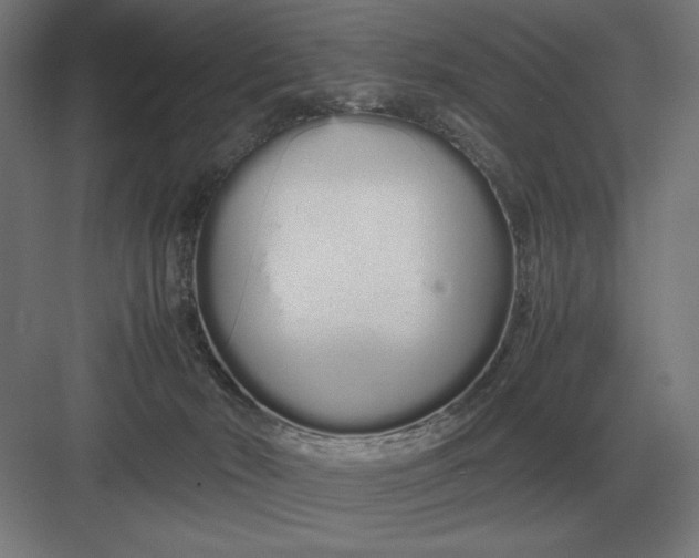 X0000083000030200702160101