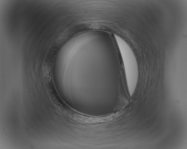 X0000083000031200702160101