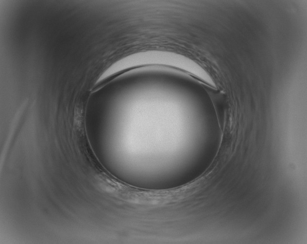 X0000083000033200702160101