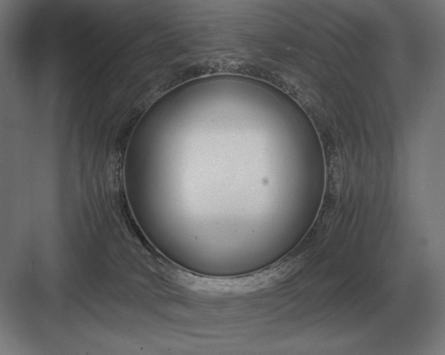 X0000083000034200702160101