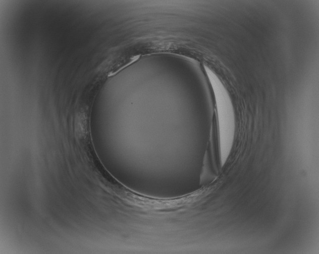 X0000083000035200702160101