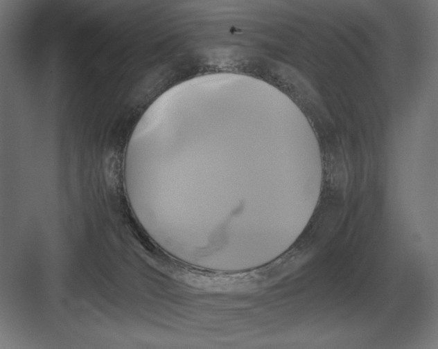 X0000083000036200702160101