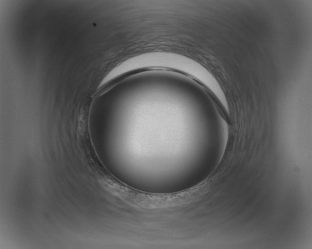 X0000083000037200702160101