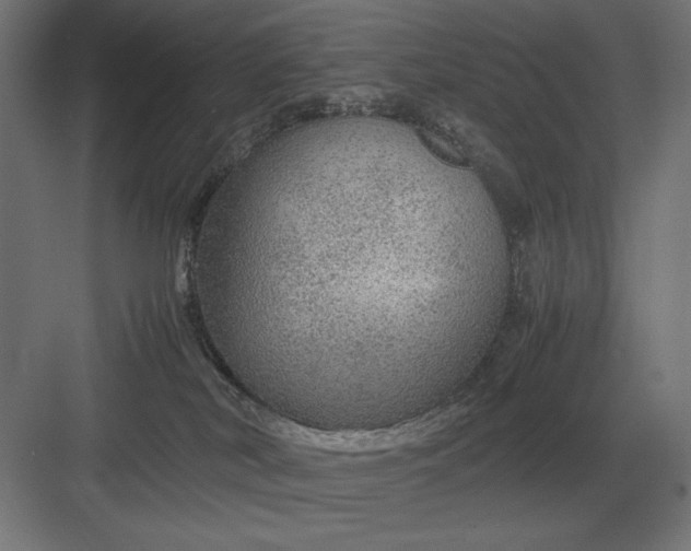 X0000083000038200702160101