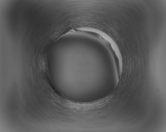 X0000083000039200702160101