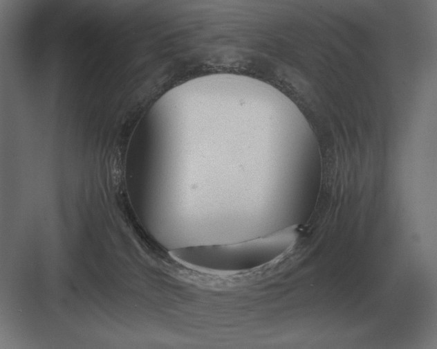 X0000083000040200702160101