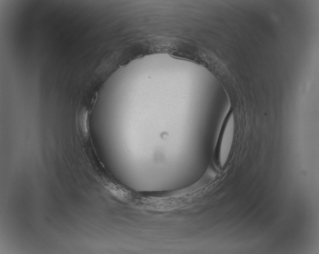 X0000083000041200702160101