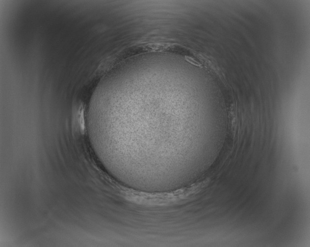 X0000083000042200702160101