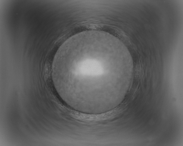 X0000083000043200702160101