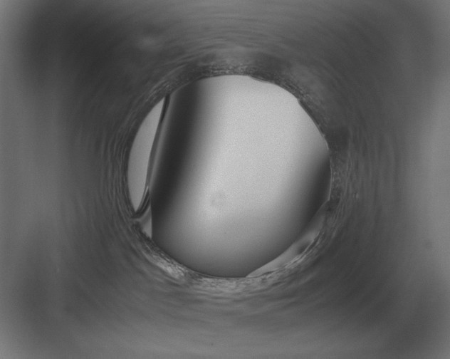 X0000083000045200702160101