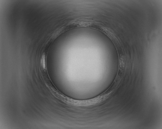 X0000083000046200702160100