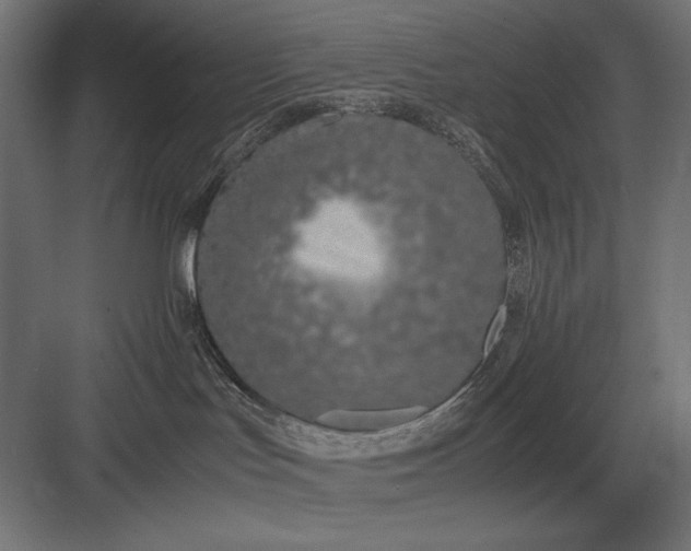 X0000083000047200702160100