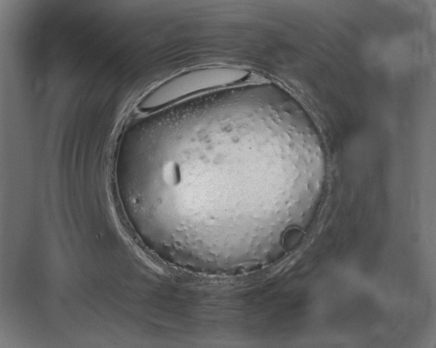 X0000083000049200702160100