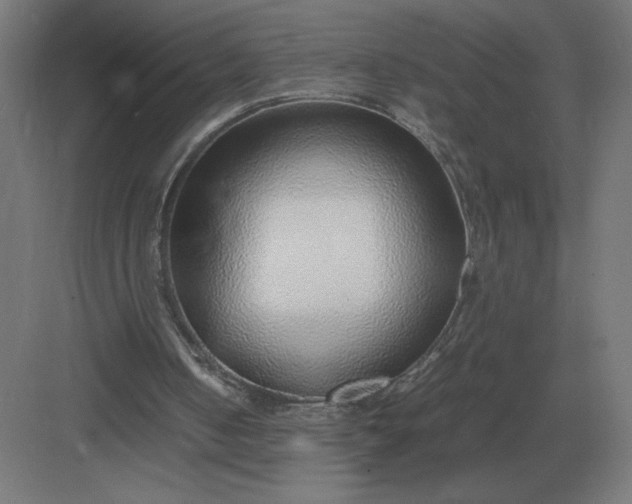 X0000083000050200702160100