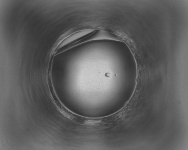 X0000083000051200702160100