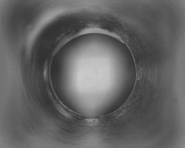 X0000083000052200702160100