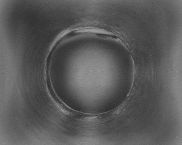 X0000083000054200702160100