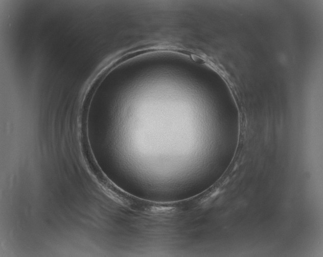 X0000083000055200702160100