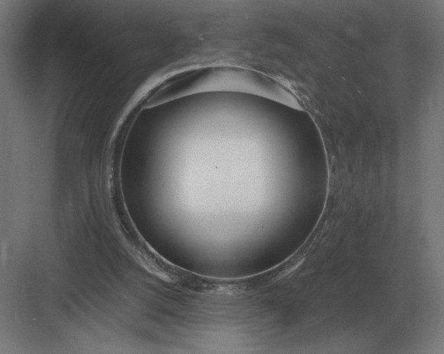 X0000083000056200702160100