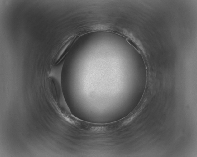 X0000083000057200702160100