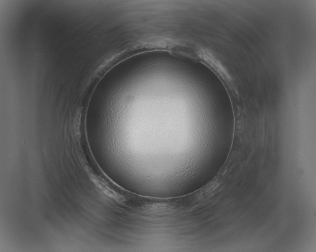 X0000083000058200702160100