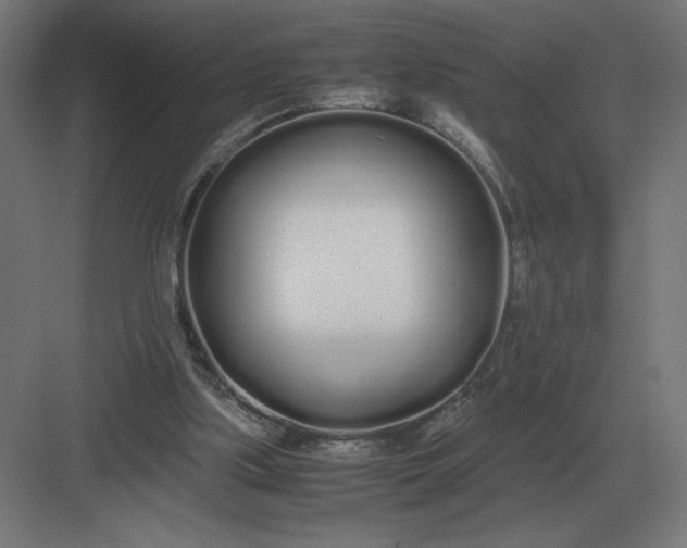 X0000083000059200702160100