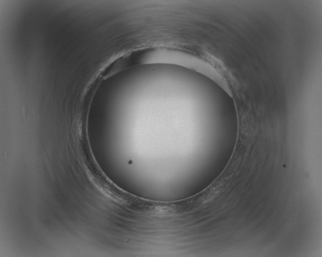 X0000083000060200702160100