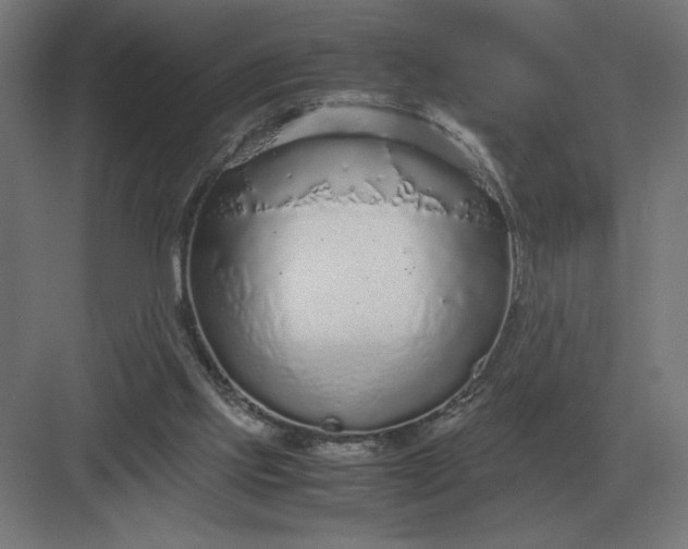 X0000083000061200702160100