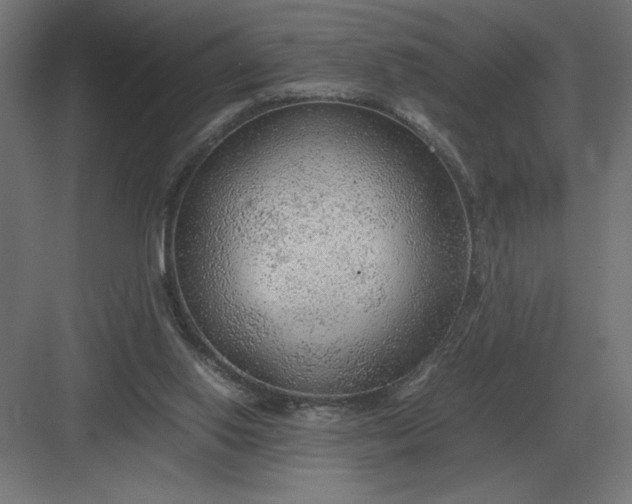 X0000083000062200702160100