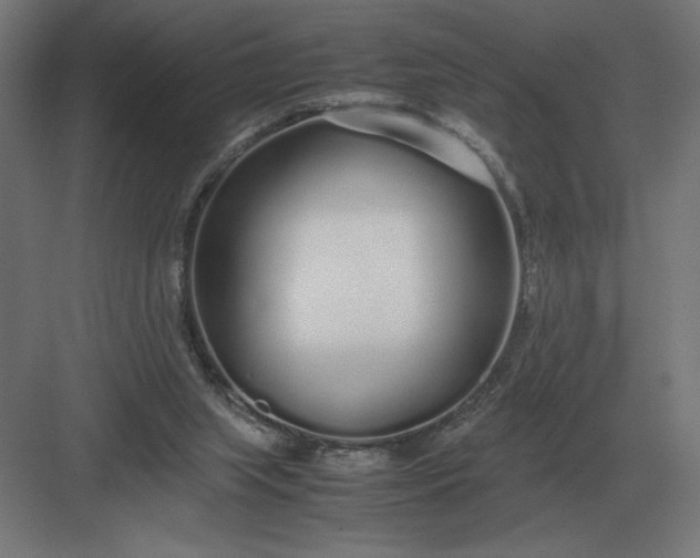 X0000083000063200702160100