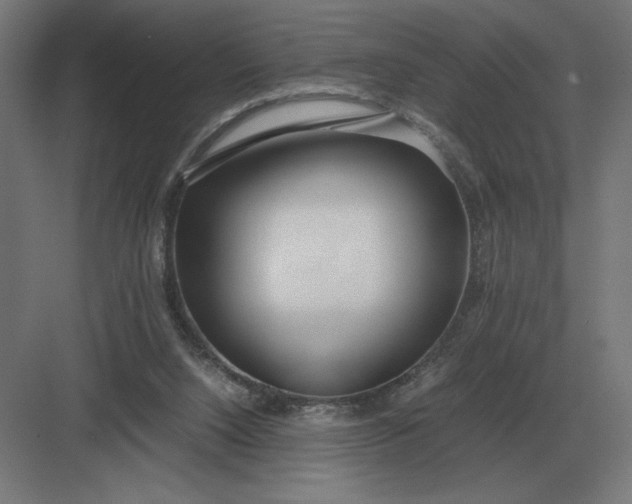 X0000083000064200702160100