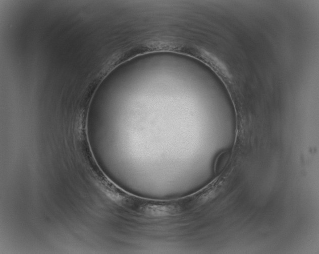 X0000083000065200702160100