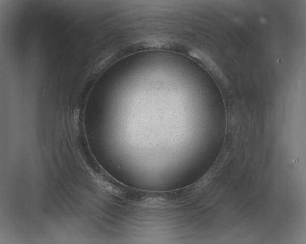 X0000083000066200702160100