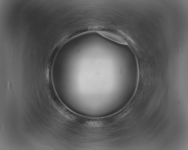 X0000083000067200702160100