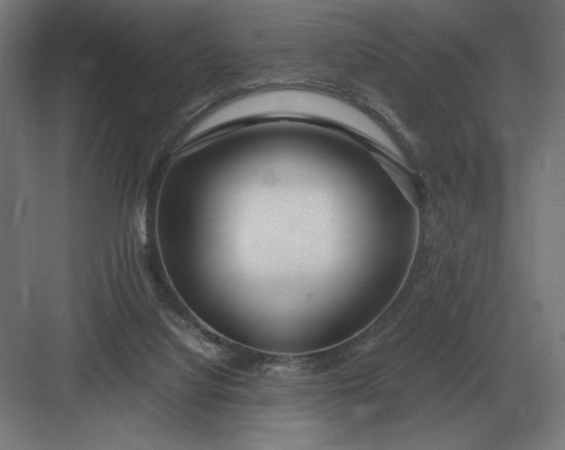 X0000083000068200702160100