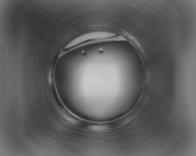 X0000083000069200702160100