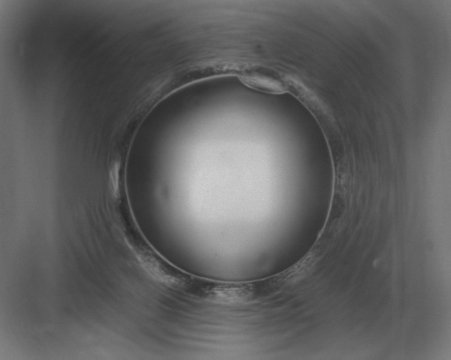 X0000083000070200702160100