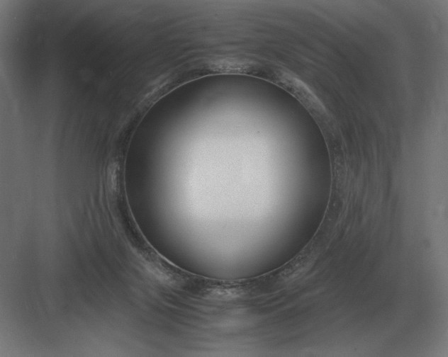 X0000083000071200702160100