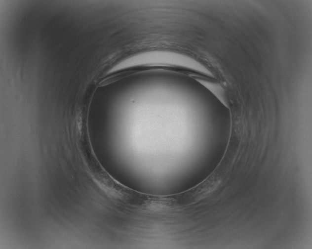 X0000083000072200702160100