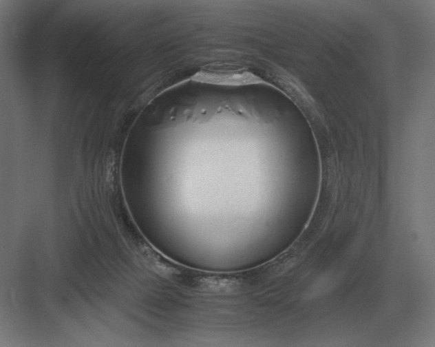 X0000083000073200702160100