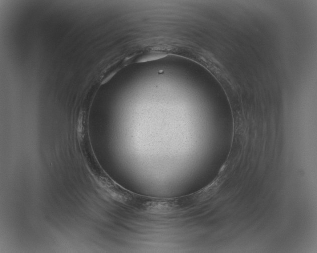 X0000083000074200702160100