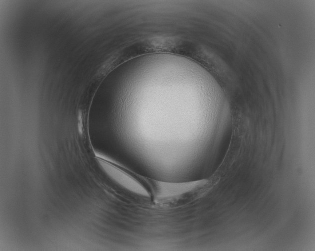 X0000083000075200702160100