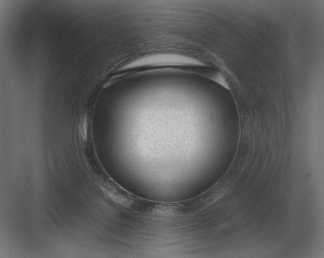 X0000083000076200702160100